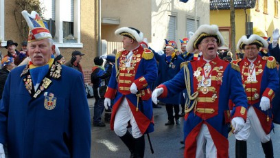 Rüsselsheimer Gardetag 2010