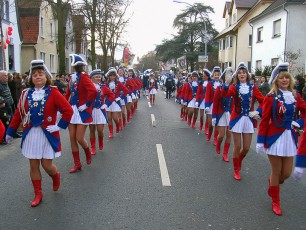 Rüsselsheimer Gardetag 2008