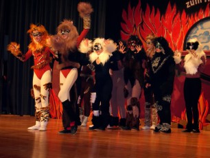 Rüsselsheimer Gardetag 2004