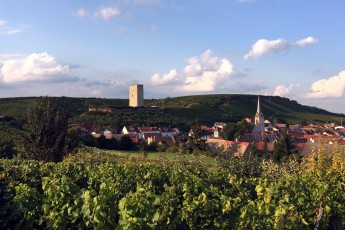 Gardeausflug Weingut Petershof 2017